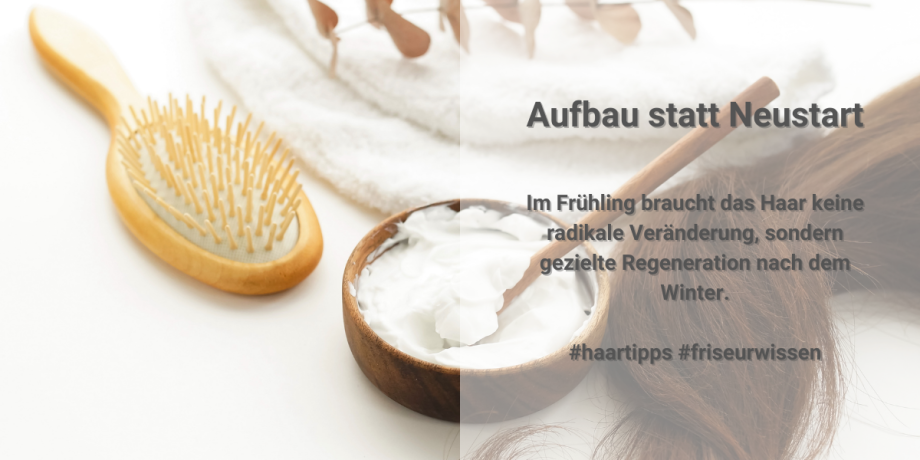 Aufbau statt Neustart #haartipps 🙋🏼‍♀️